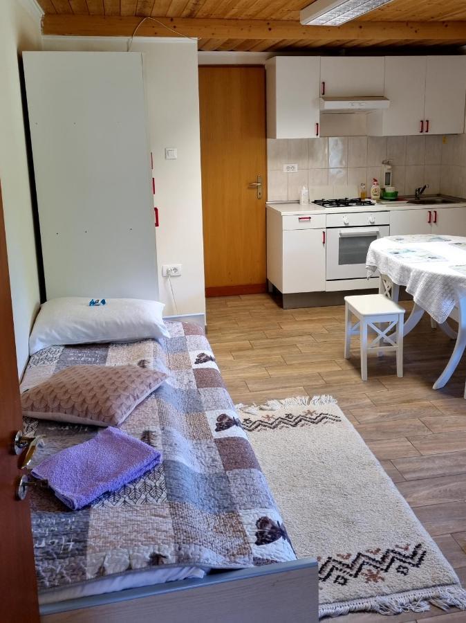 Dobra Hisa Zdravja Cicarija Hotel Golac Luaran gambar