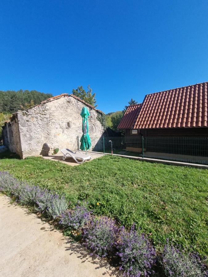 Dobra Hisa Zdravja Cicarija Hotel Golac Luaran gambar